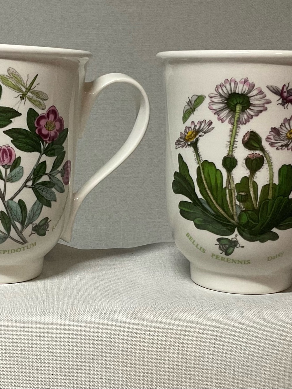 Portmerion The Botanic Garden Floral Porcelain Mug Set